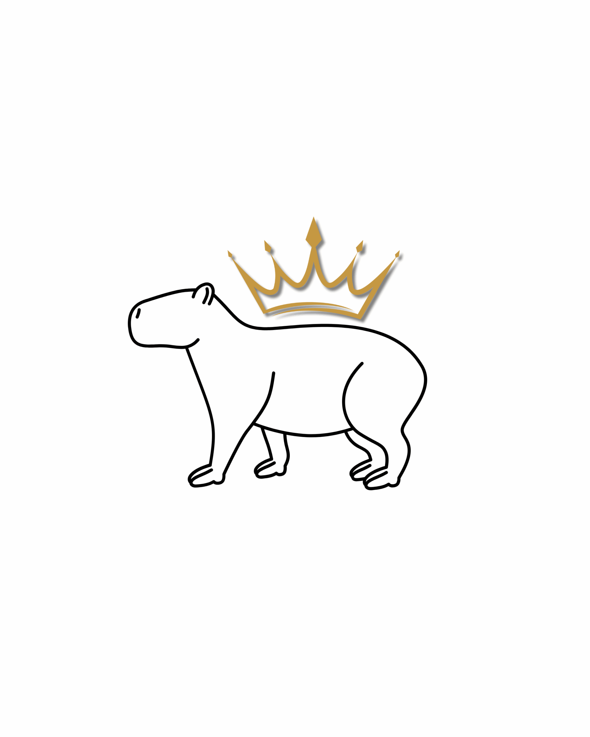 Capivara Outlet